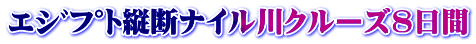 ｴｼﾞﾌﾟﾄ縦断ナイル川クルーズ8日間